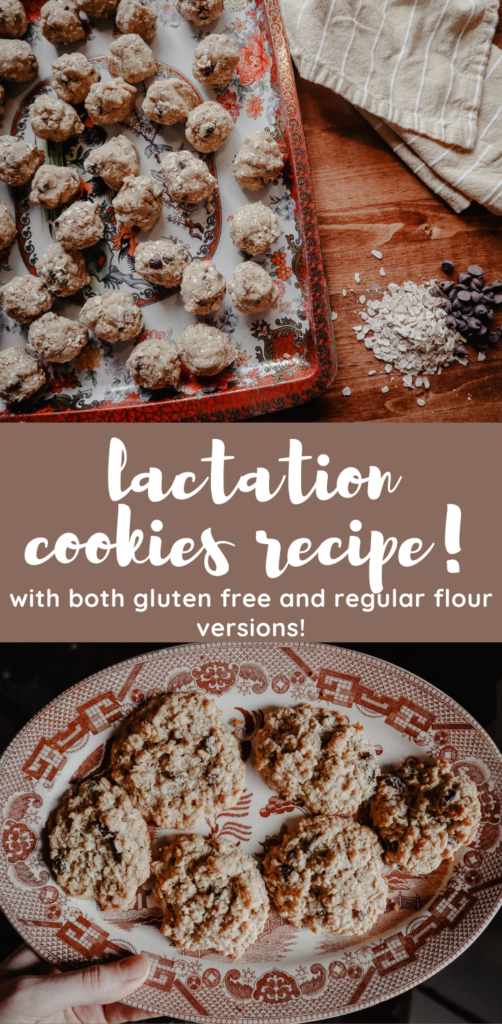 Lactation Cookies Recipe