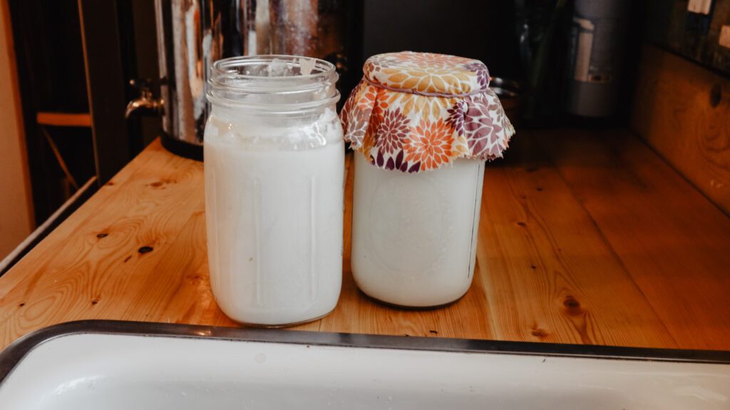 Raw Milk Kefir