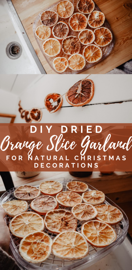 DIY Dried Orange Slice Garland For Christmas - Wilson Homestead