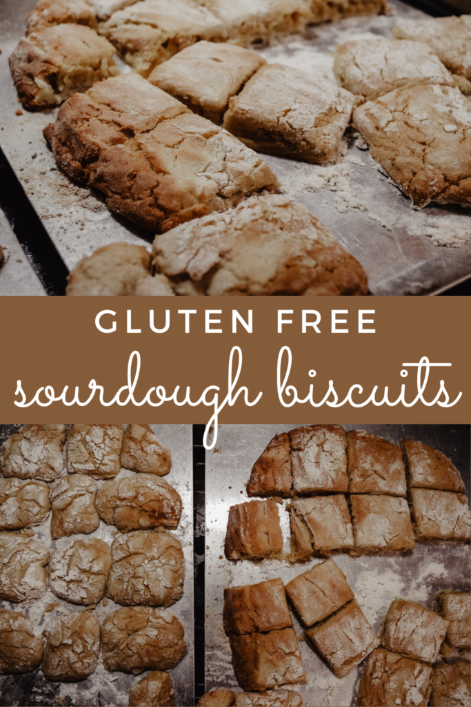 Gluten-Free Sourdough Biscuits