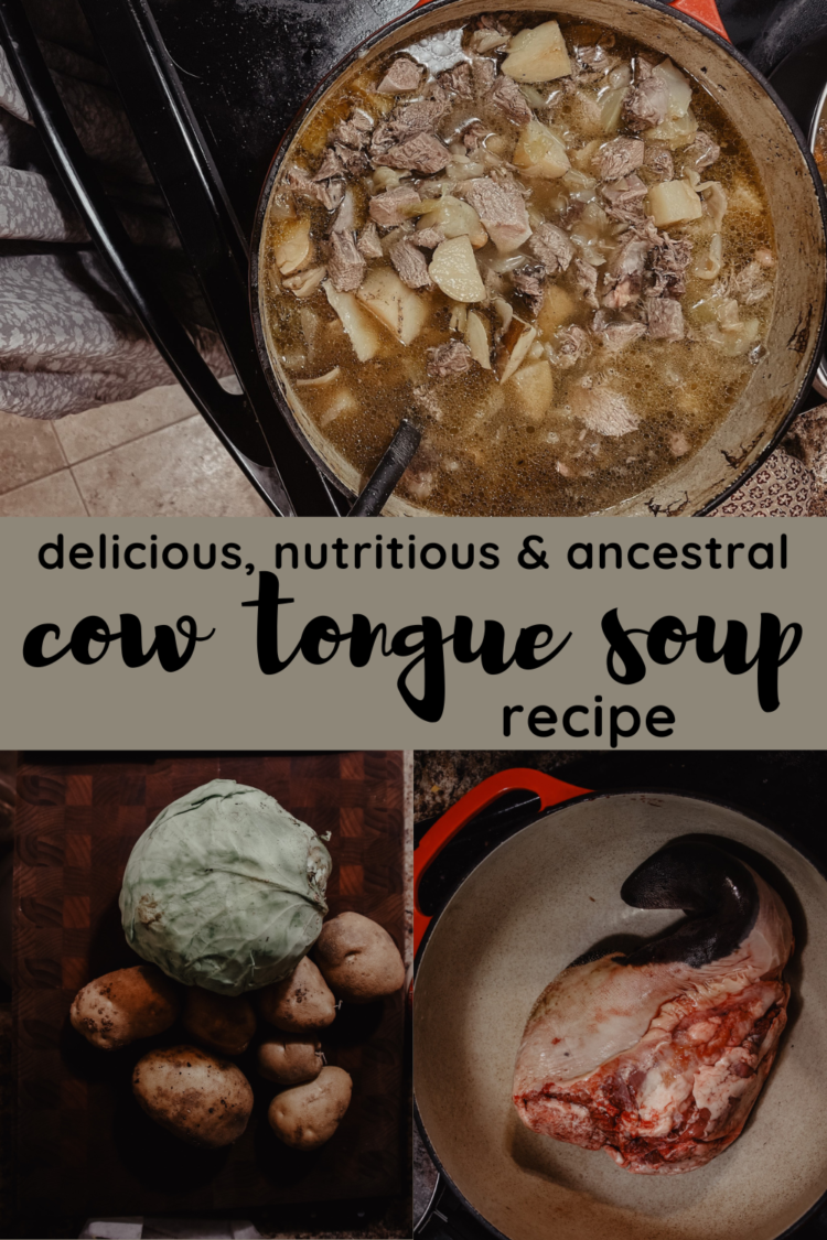 Delicious Cow Tongue Soup Recipe - Wilson Homestead