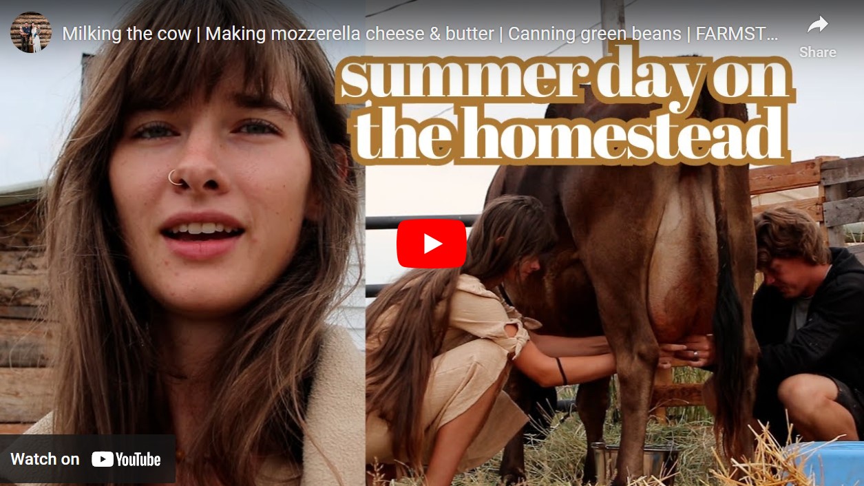 Summer on the farmstead: A Video - Wilson Homestead