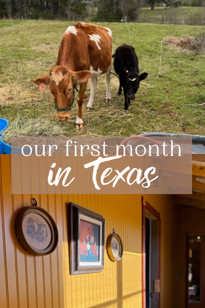 Our first month in Texas