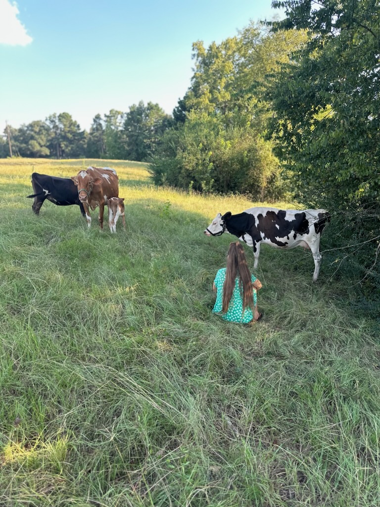 How to calf share