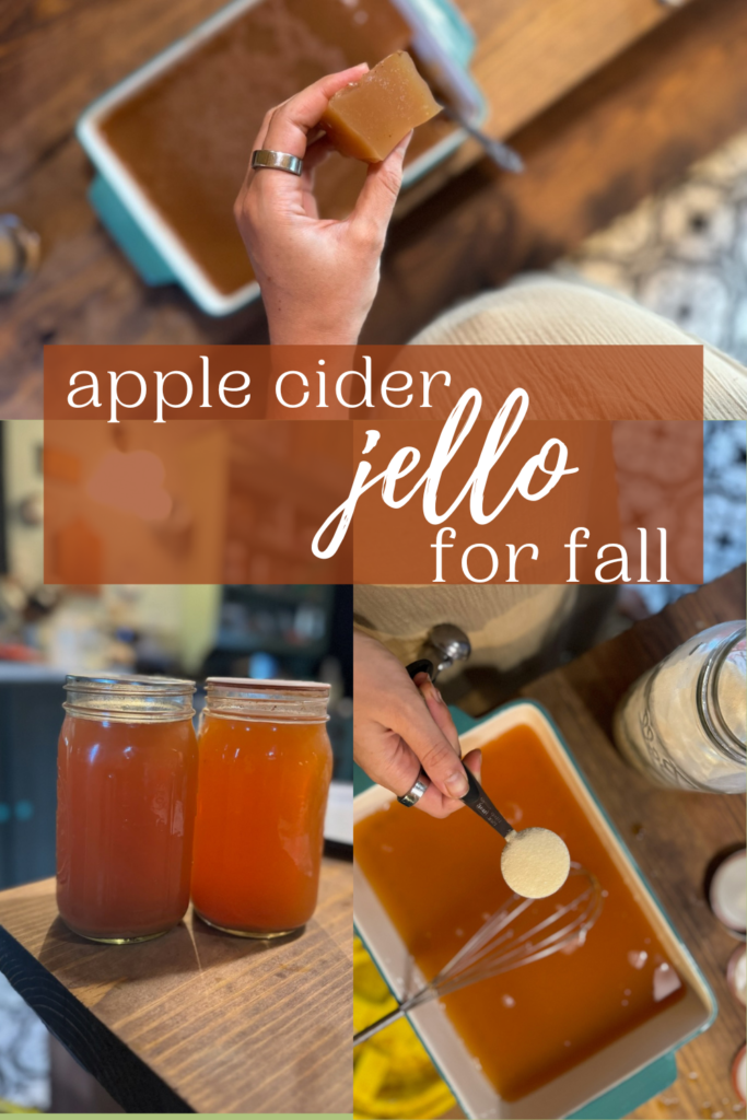 Apple Cider Jello for Fall