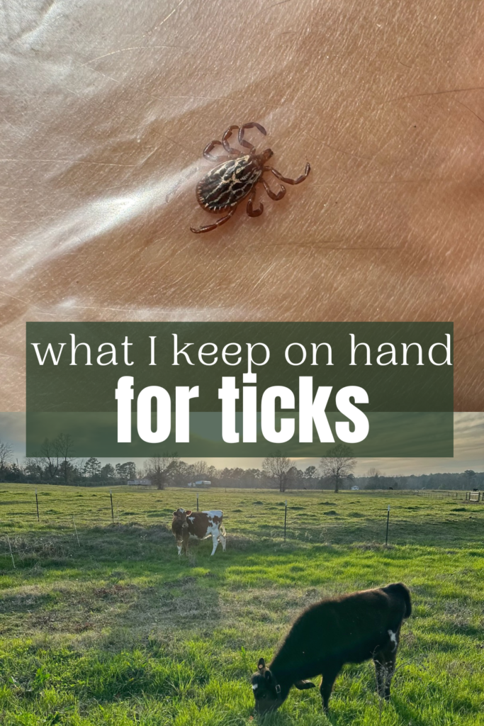 What I Keep On Hand For Ticks