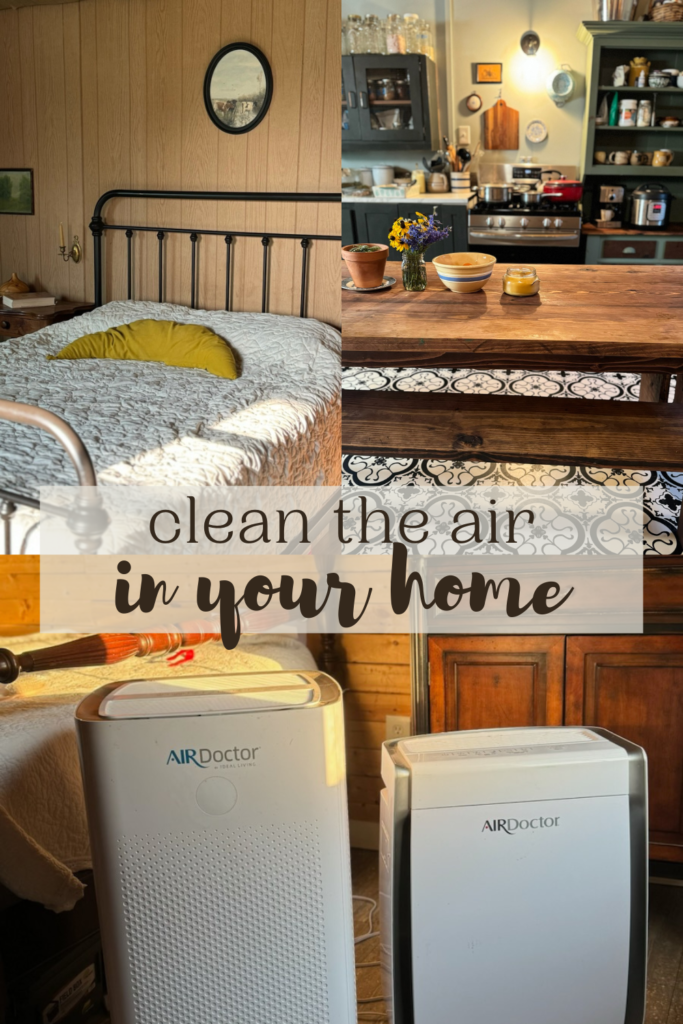 Clean the air in your home